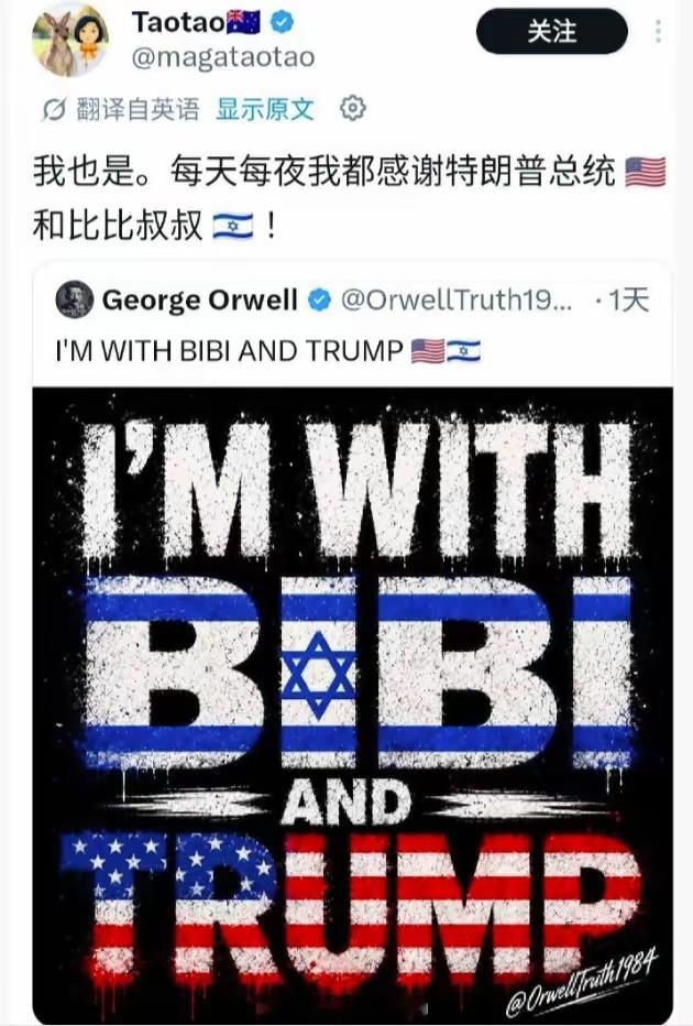 为啥不用英文发？殖人傻事殖人迷惑行为