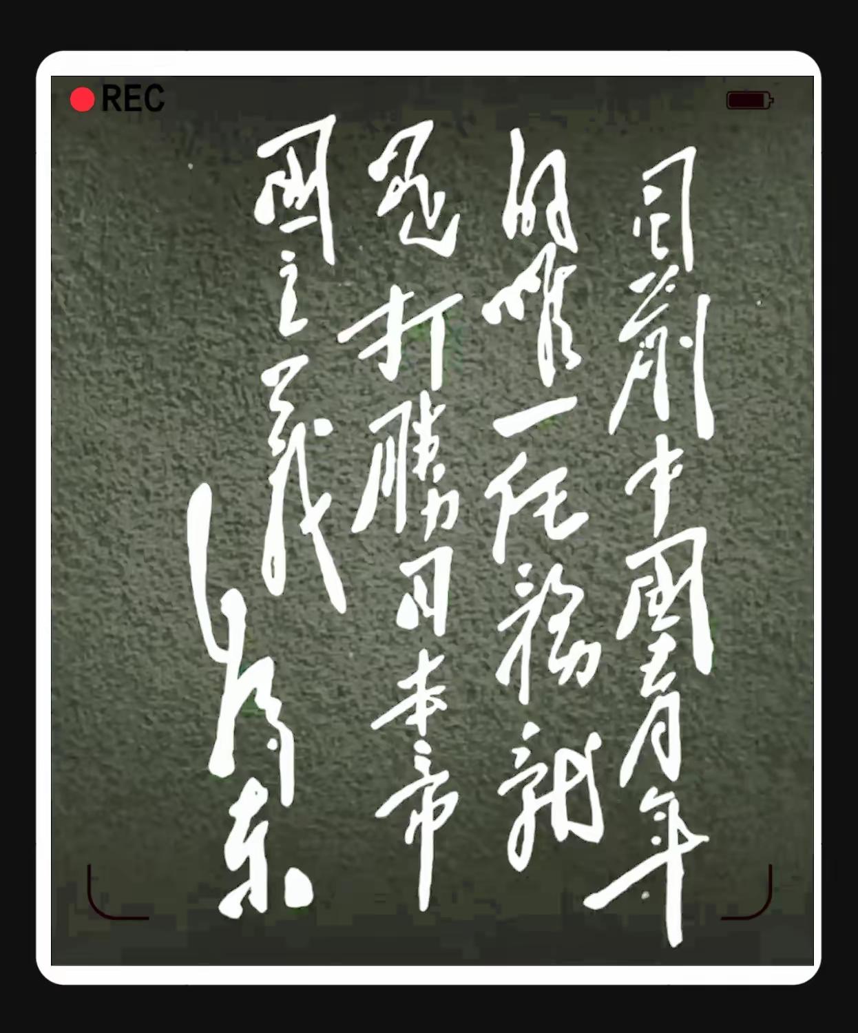 这幅草书书法大气潇洒，非常的有观赏性，这字就不太好认了，能全部认出的来都是高手。