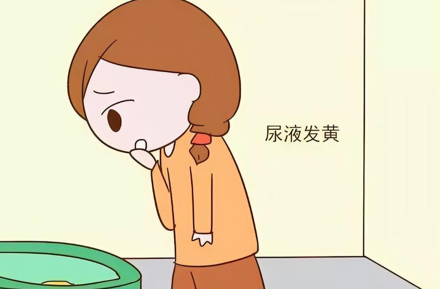 人有三黄，寿命不长，到底是哪三黄？1、心火旺——尿黄辩证：中医认为，心和小