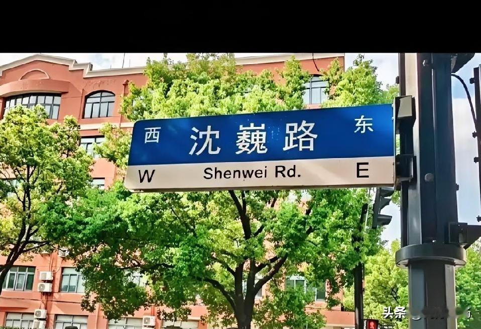 网友提议应该为流浪大师命名一条“沈巍路”，表彰他坚守垃圾分类理念。也有网友说：他