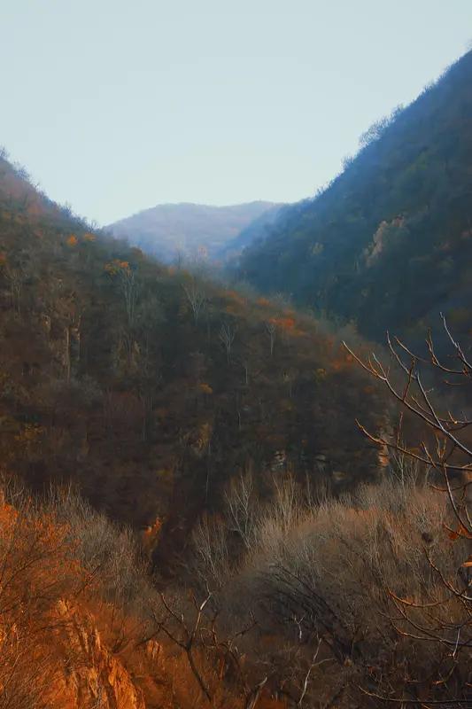 我确实亲身经历过这样的事。我老家地处山沟沟，仅有五户人家。小学三年级时，老师说第