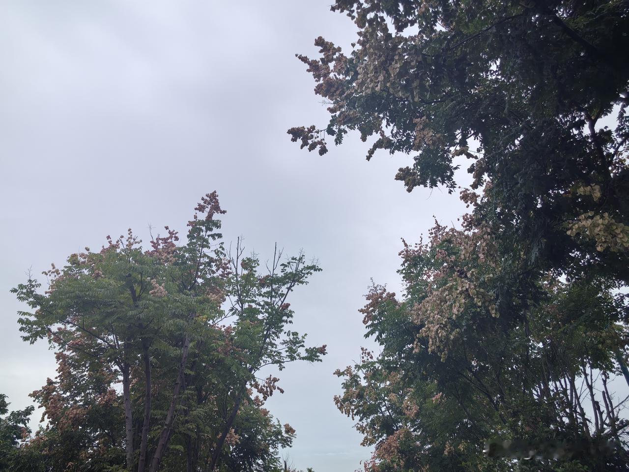 以前有人说因果报应，我总是将信将疑的。但老舅如今基本没自由，我有点信了！记得
