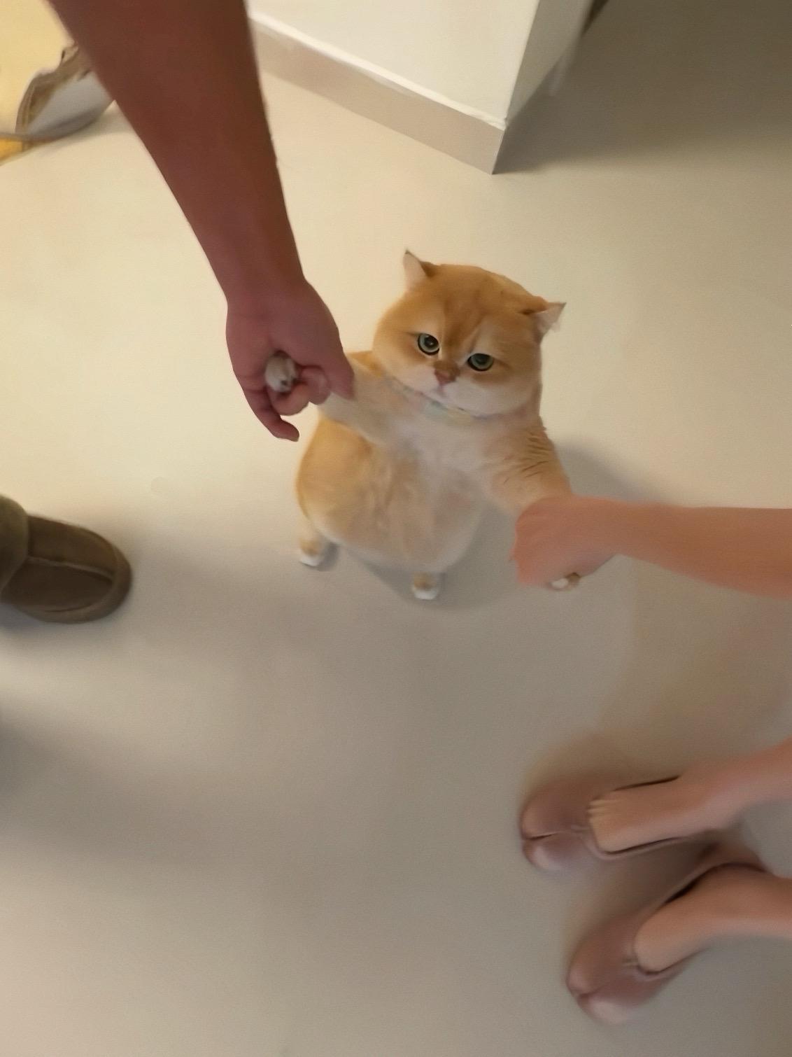 我们是天下第一好。