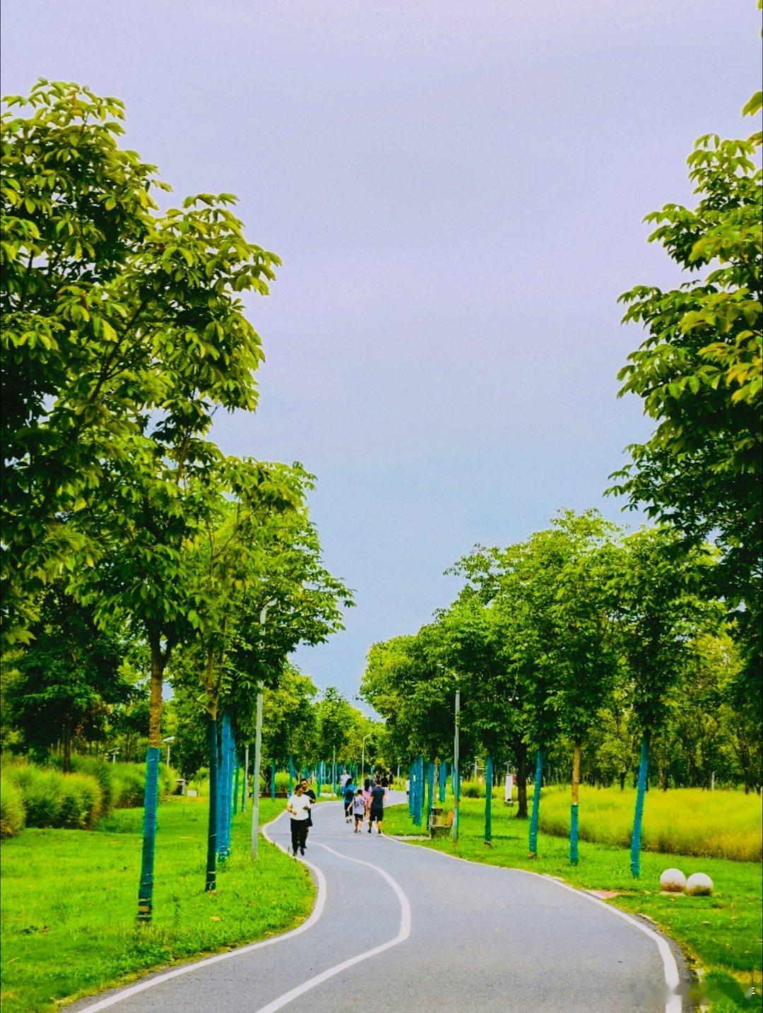 日子慢慢，脚步浅浅。别把太多情绪带进明媚的清晨，生活本就是一半烟火，一半清欢。照