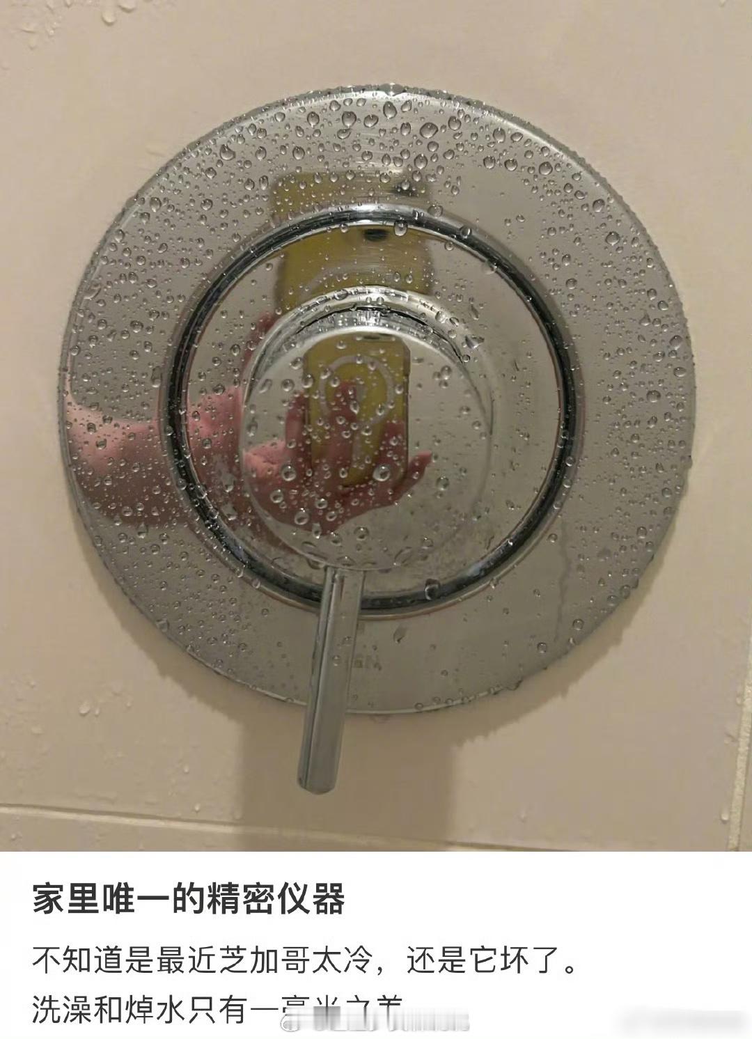 花洒，家中唯一的精密仪器