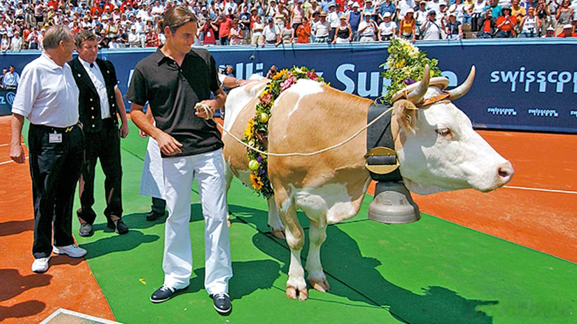 最特殊的礼物🐄2003年的格施塔德，费德勒收到了来自组委会为他准备的一份特殊的