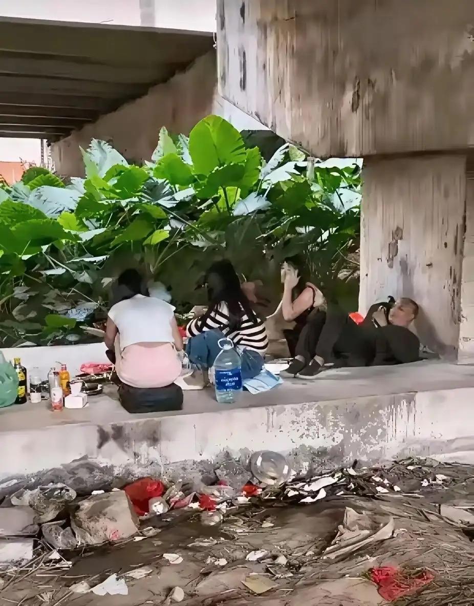 不服都不行啊！流浪也能到如此境界