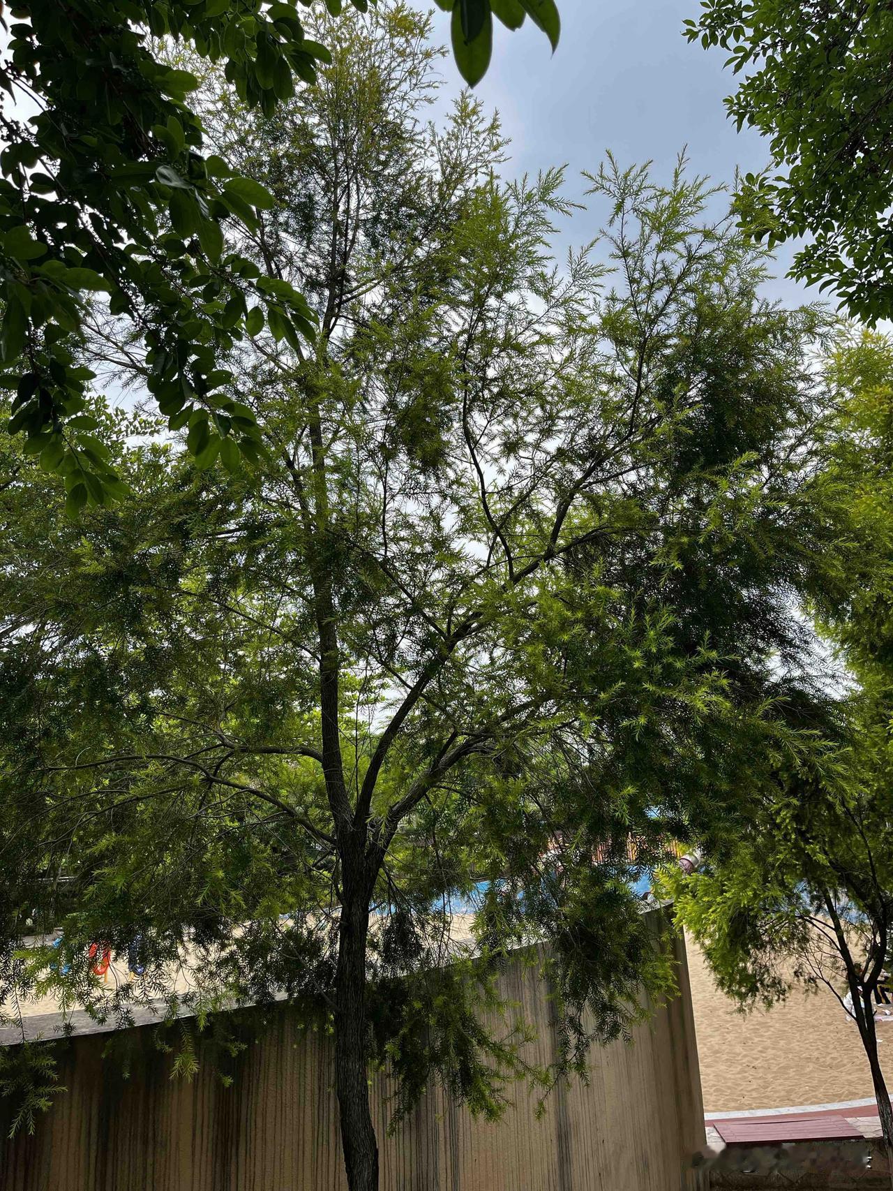《资治通鉴》：一个让能量不外泄的方法，不要讨厌任何人永远记住是任何人先讲