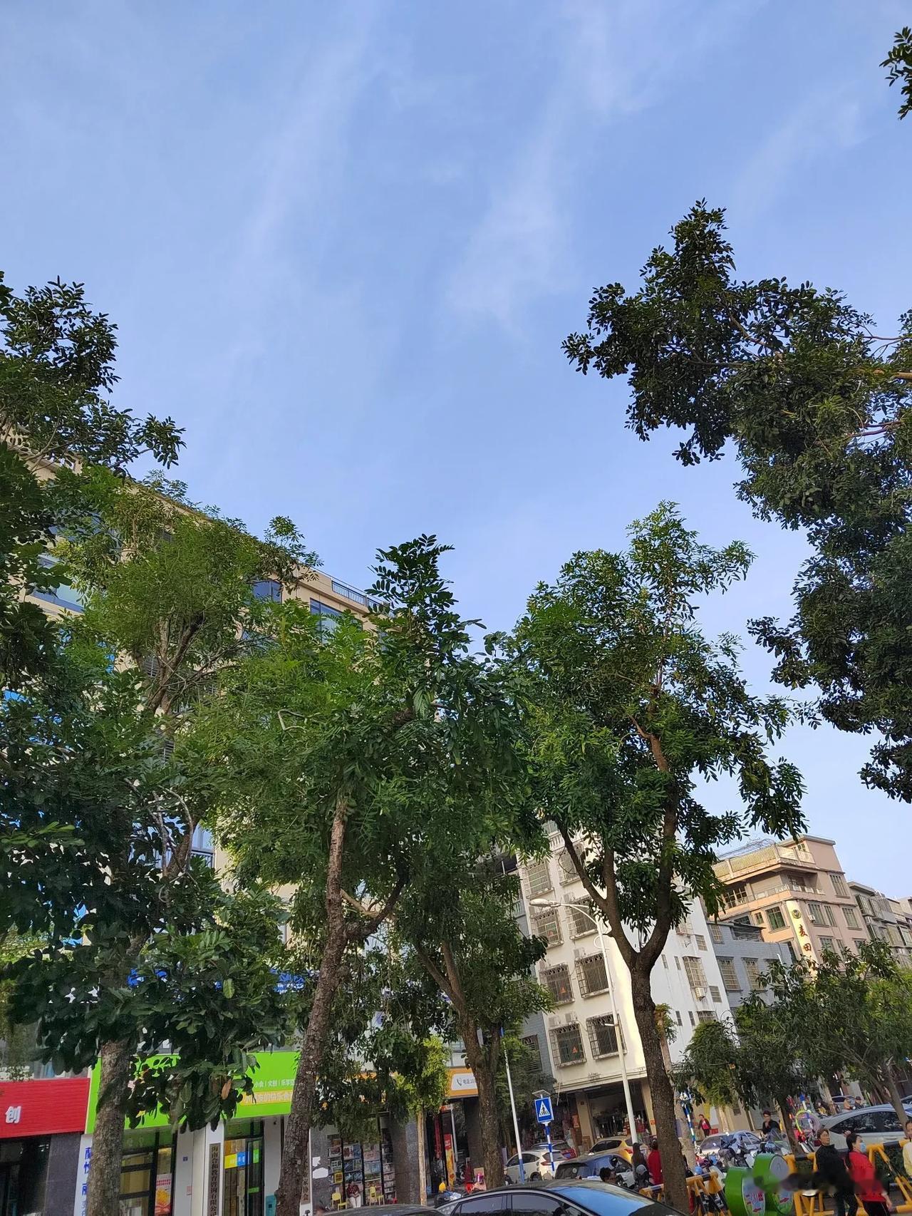 十八年前，我第一次发现尿蛋白异常。那时最明显的症状，就是一躺下就有强烈的尿意，可