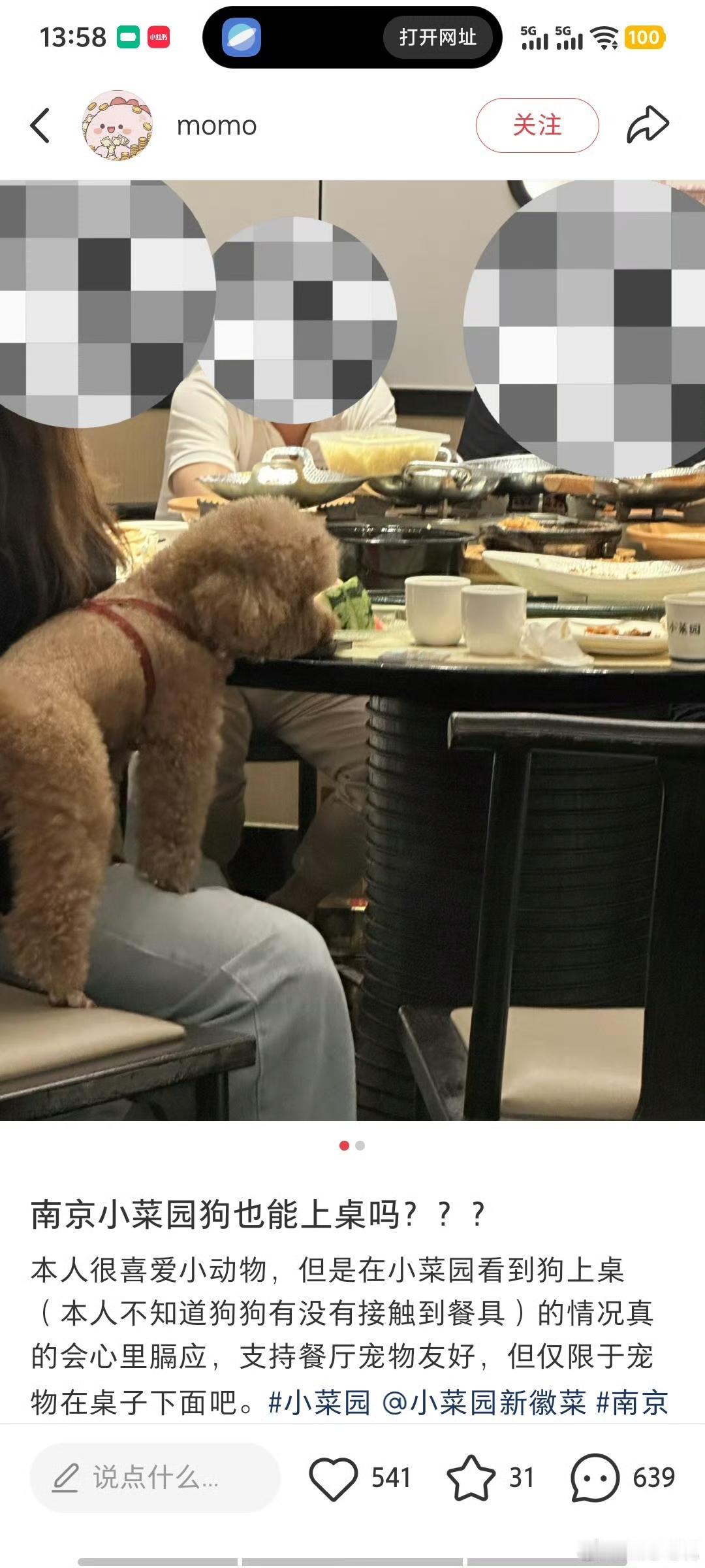 带狗进餐厅并上桌的，太恶心了！养狗人的素质都被狗吃了！