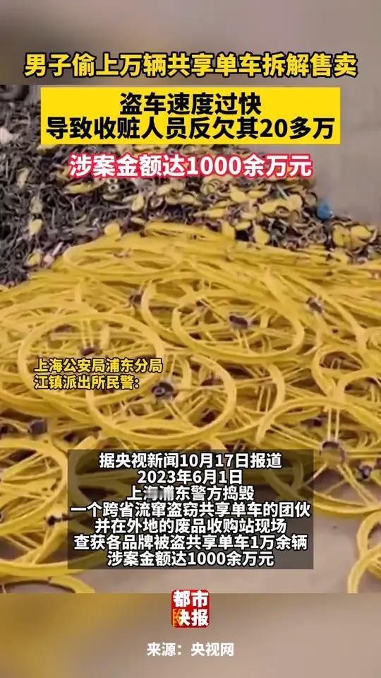 2023年6月，上海警方侦破一起令人咋舌的共享单车盗窃案。一个由11人组成的犯罪