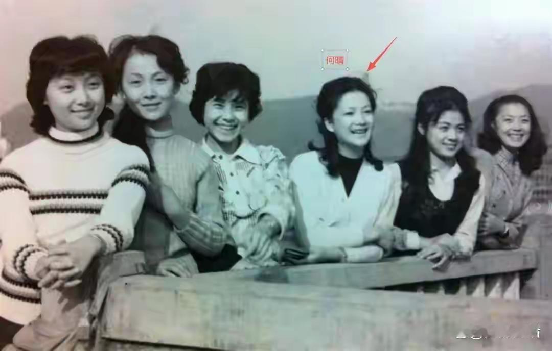 何晴年轻时一张合影，她身边都是美女，她们美得各不同。