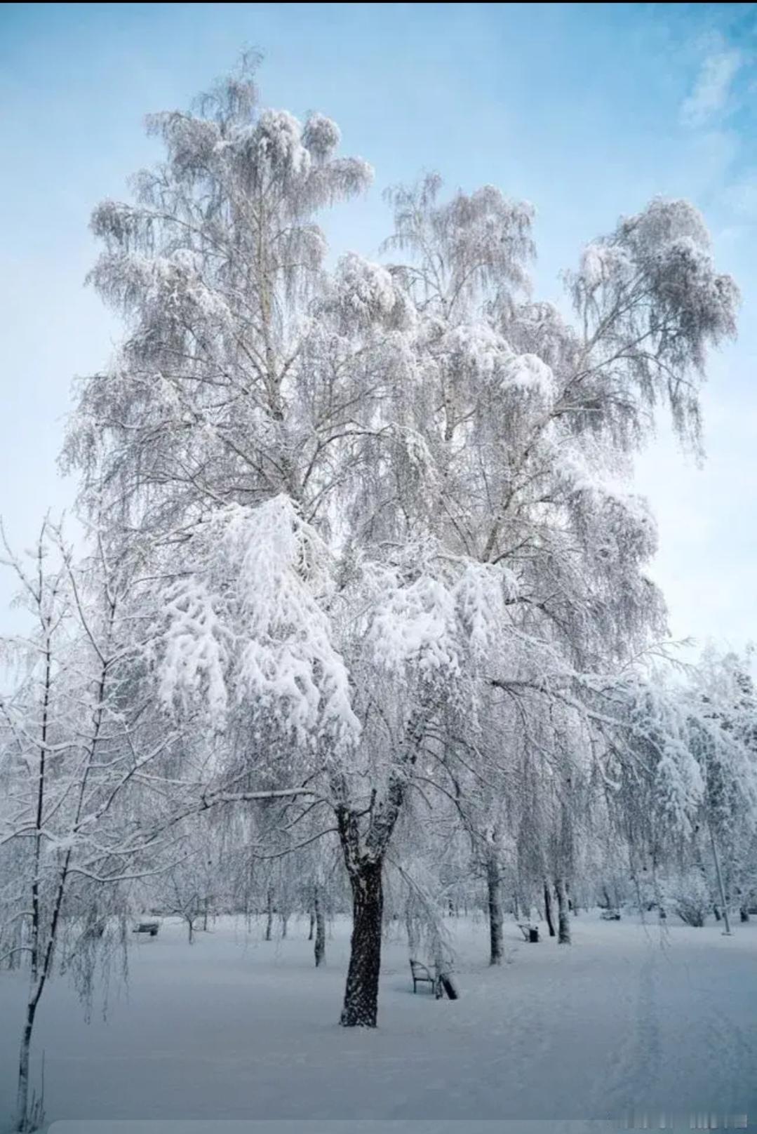 河南强降雪对当地群众生活有何影响？近日，河南遭遇今冬最强降雪。12月11日起开