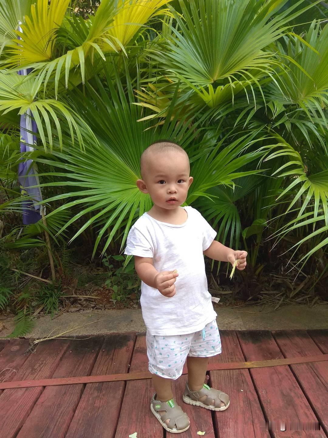 在对待年轻人不愿生二胎三胎的问题上，我觉得这些专家都没看到问题的实质，年轻人不想