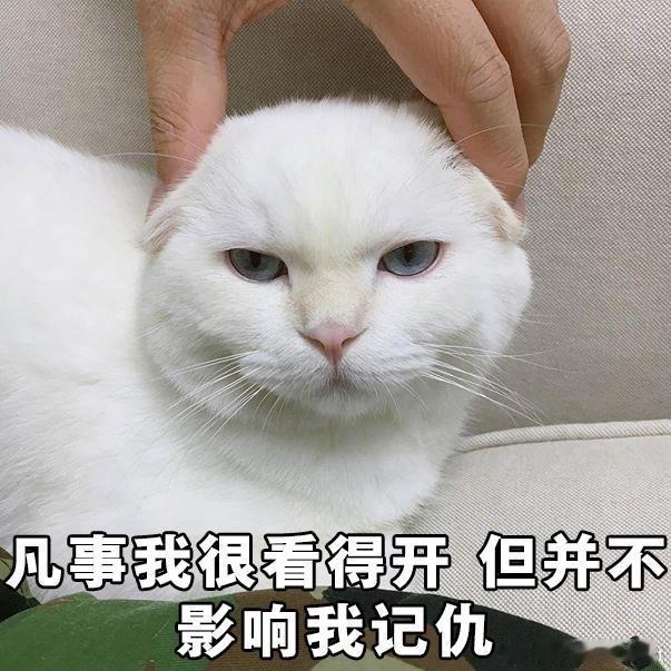 十二星座拉黑前任的原因：白羊座：嫌麻烦，不想拖泥带水金牛座：眼不见心不烦，彻底物