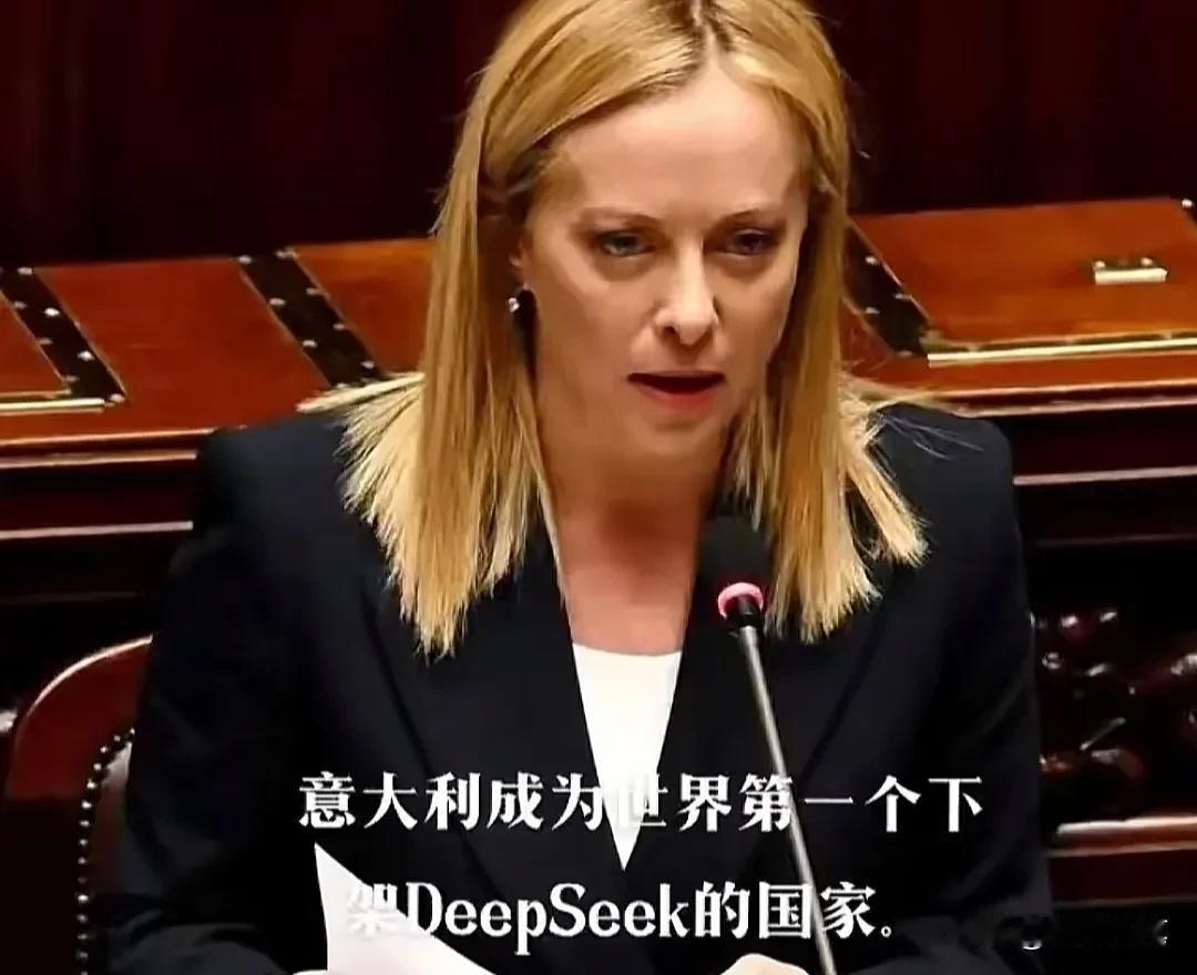 意大利万万没想到自己建墙把自己围起来了。面对中国开源的deepseek，意大