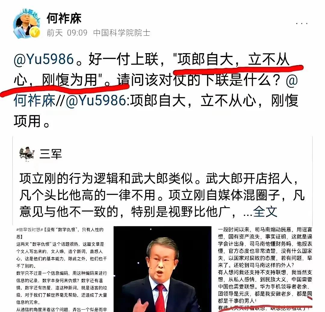 当中科院的何祚庥用藏头联“项郎自大，立不从心，刚愎自用”贬低项立刚时，不知何先生