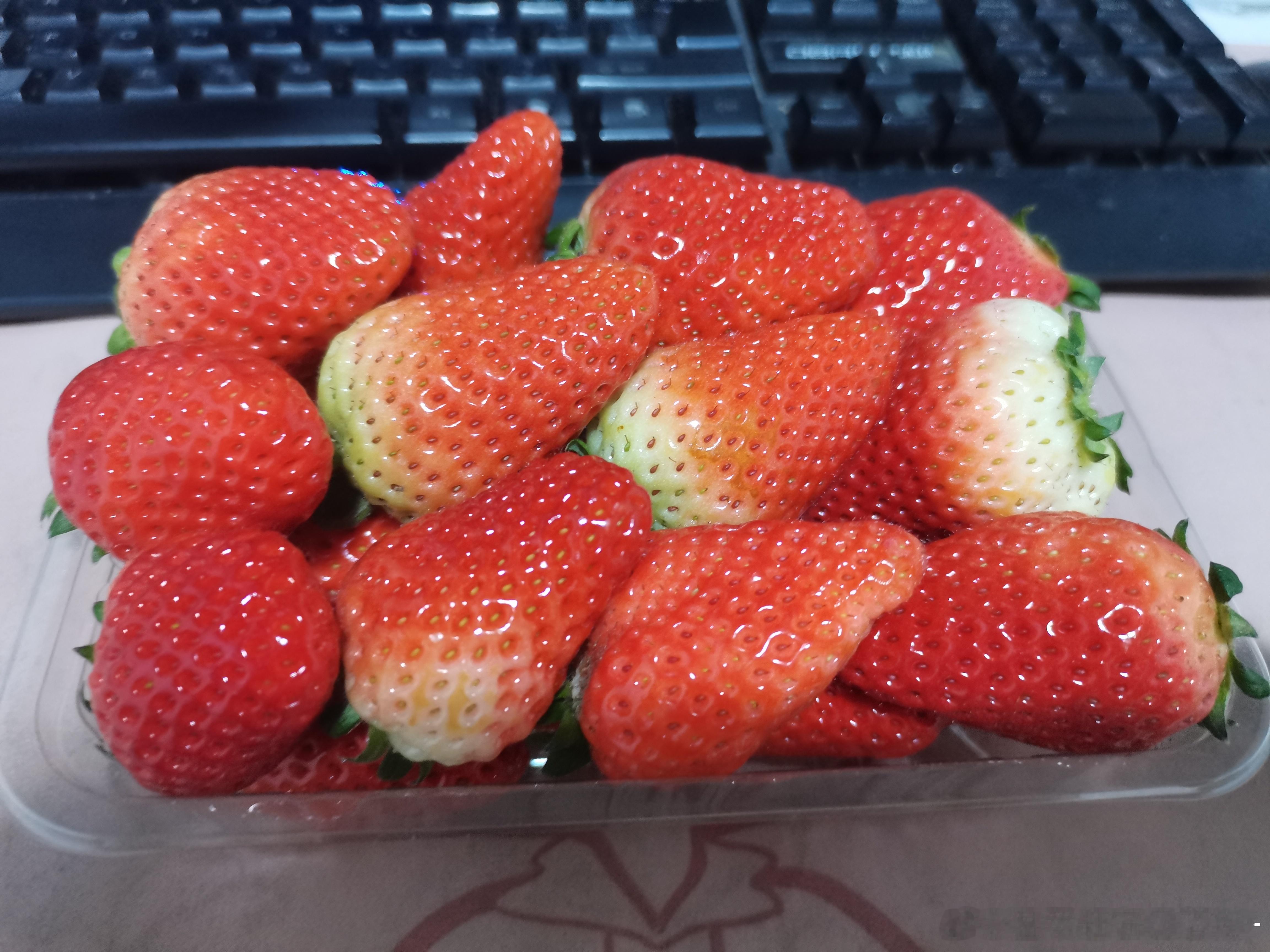 上班干什么上班吃🍓呀