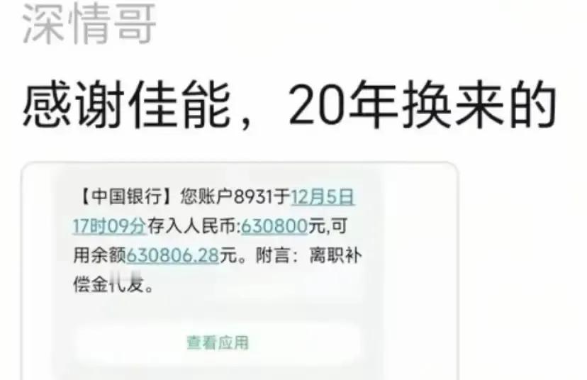 佳能干了二十年的老员工被裁，公司直接甩出63万补偿，数字一晒，全网打工人瞬间酸成