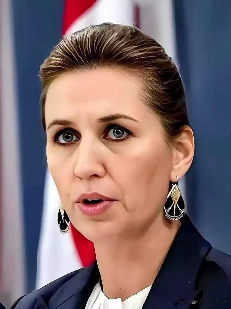 丹麦寄希望于欧洲盟友，但欧洲多国象征性“增兵”格陵兰岛，这次丹麦的期待怕是要落空