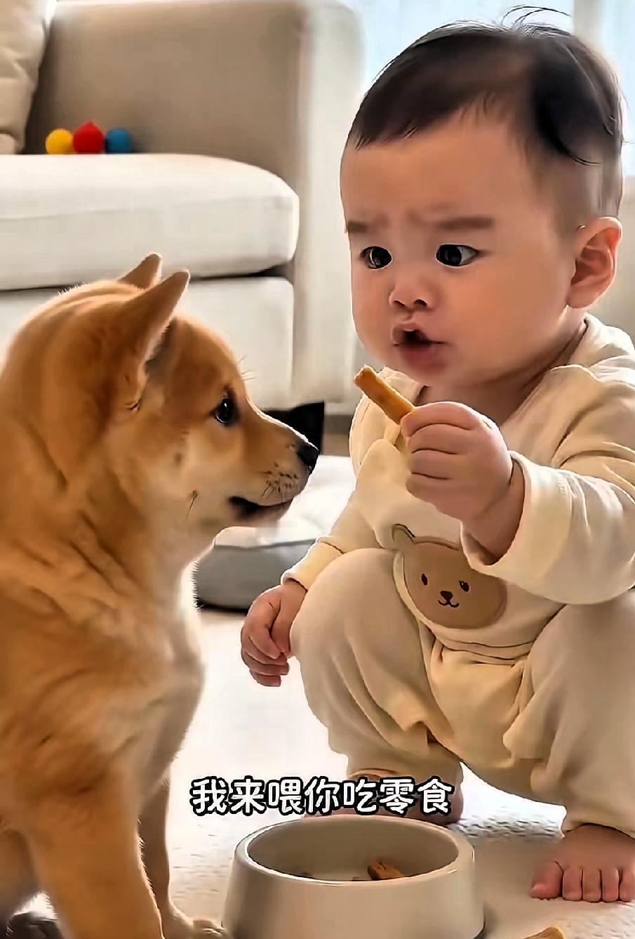 孩童与小动物相处的瞬间，总是充满各种啼笑皆非的小插曲。汪宝儿在家中和小狗互动的一
