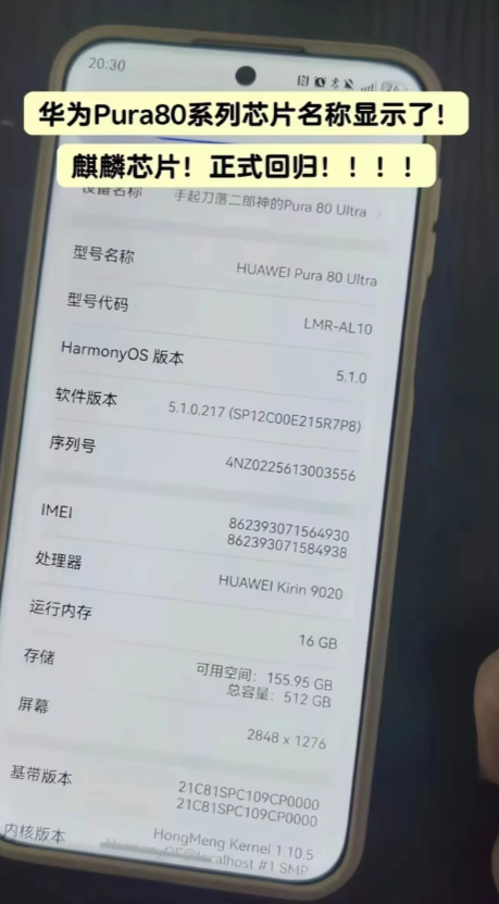 之前就说过，华为一直不公开芯片信息，是为了保护产业链上下游相关企业，在那时，尚不