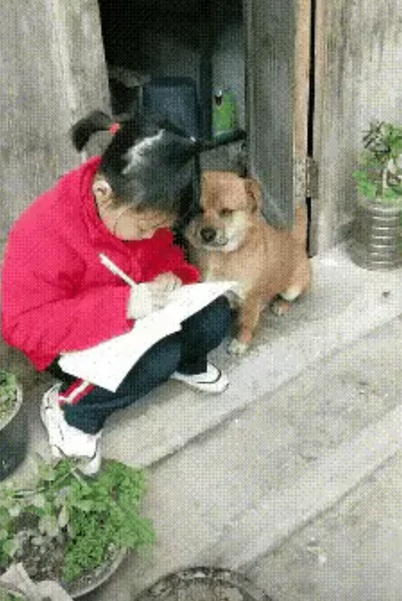 小女孩在上学时发现了一只流浪狗，小狗狗很瘦，全身只剩下一层气了，小女孩觉得小狗狗