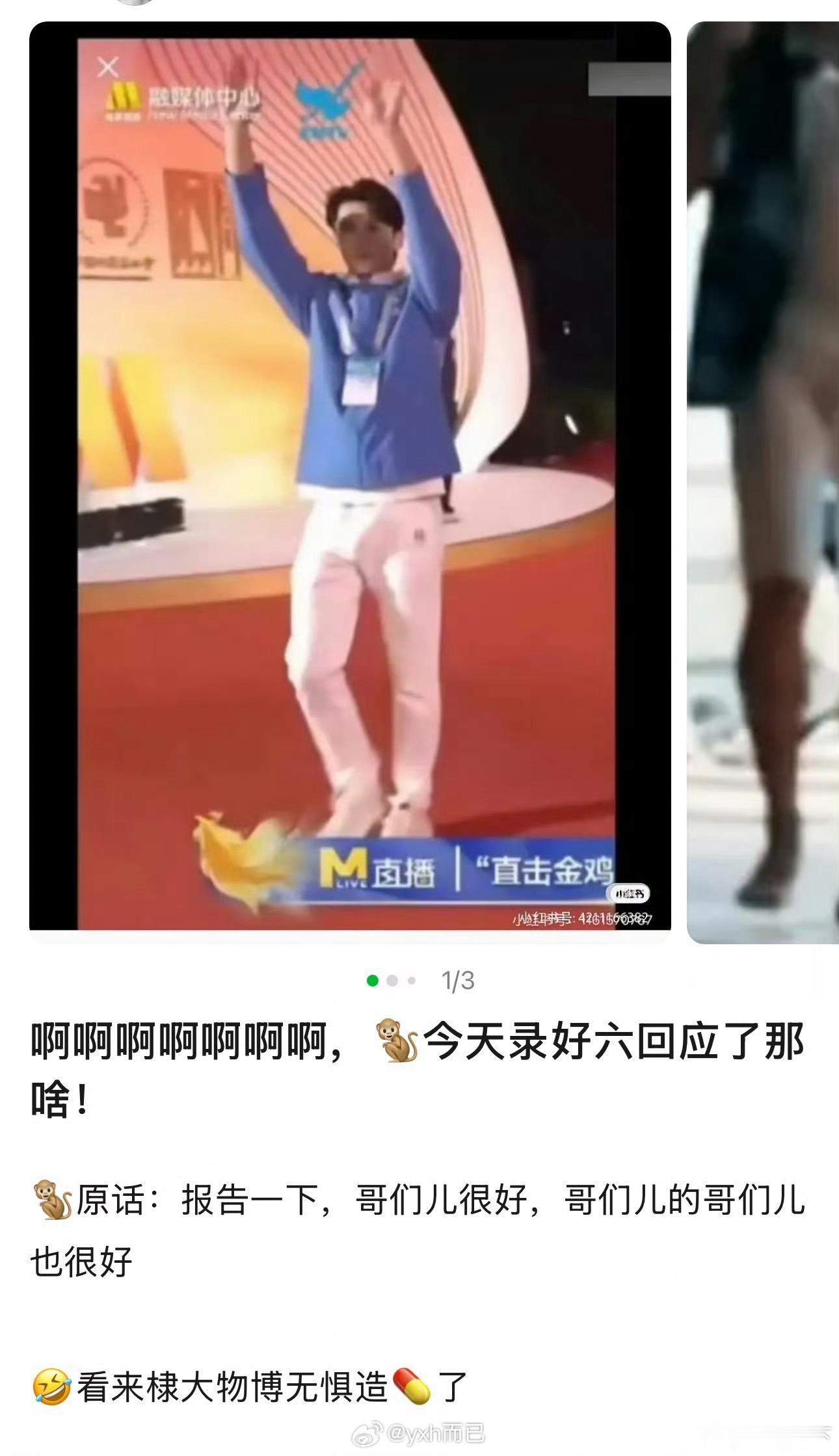 王鹤棣回应了？？？​​​