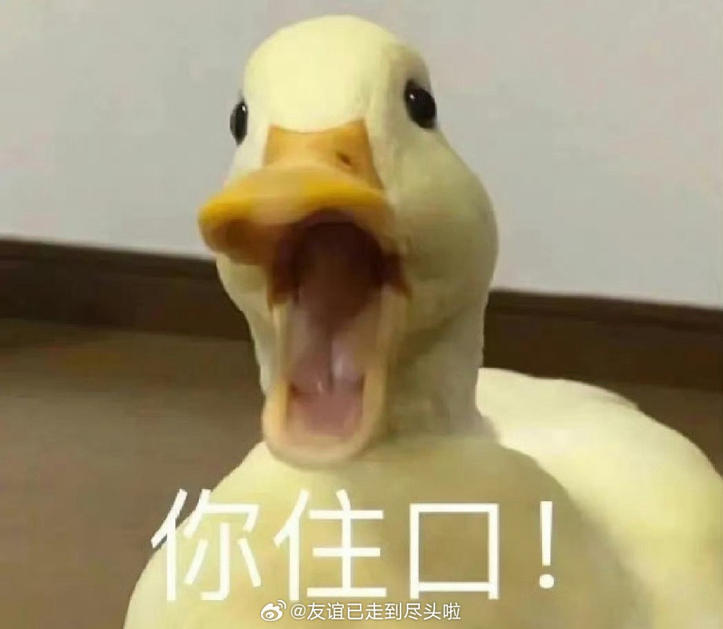 网传将门毒后王鹤棣孟子义平番实话说不可能，就不说定男选女死磕王鹤棣了，孟子义目前