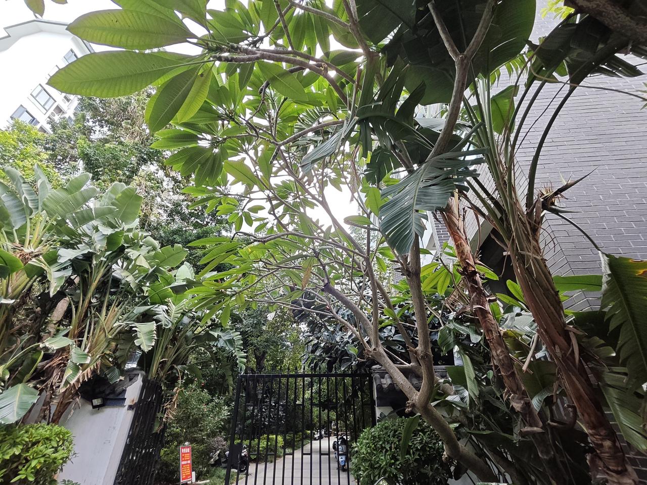 一位大佬说:“做事的人遇上做人的人，必败；做人的人遇上做局的人，必败；做局