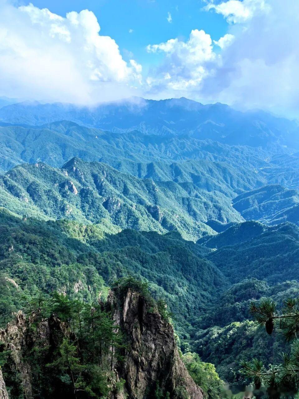 老家河南洛阳的老君山真的值得专程奔赴！十里画廊层峦叠翠，山巅金顶道观伫立云海间，