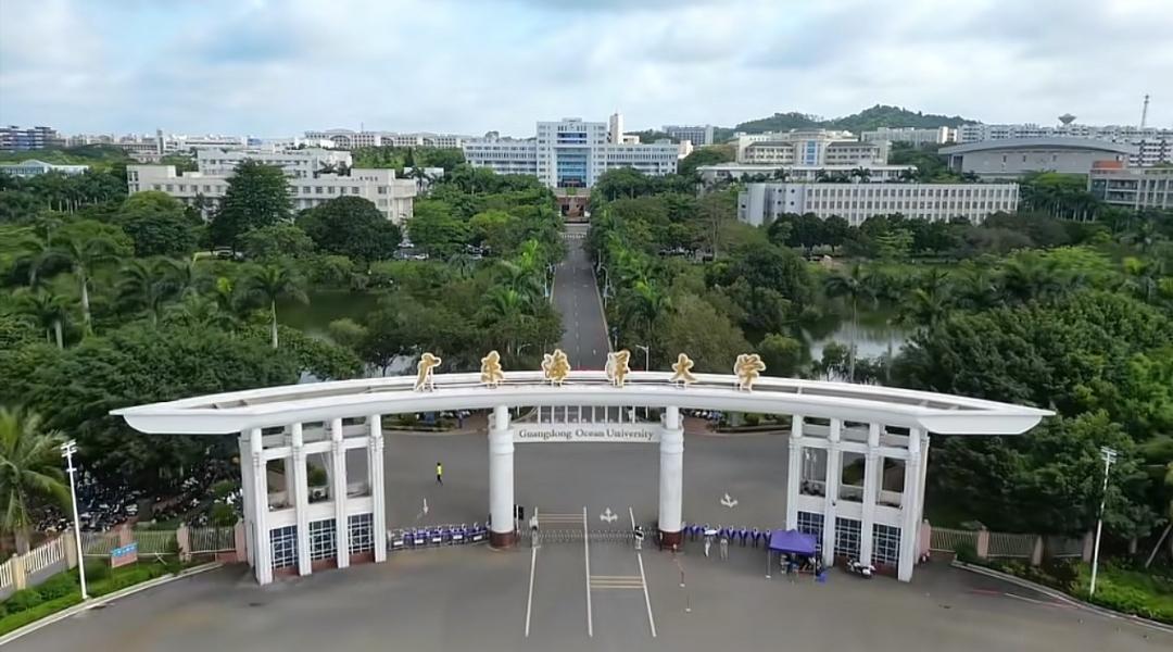 错过黄金十年，湛江的高等教育——再也等不来属于自己的新大学梦了站在2026年