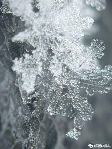 郑州下雪郑州多次迎来降雪，2025年1月23日起有降雪过程。降雪成因