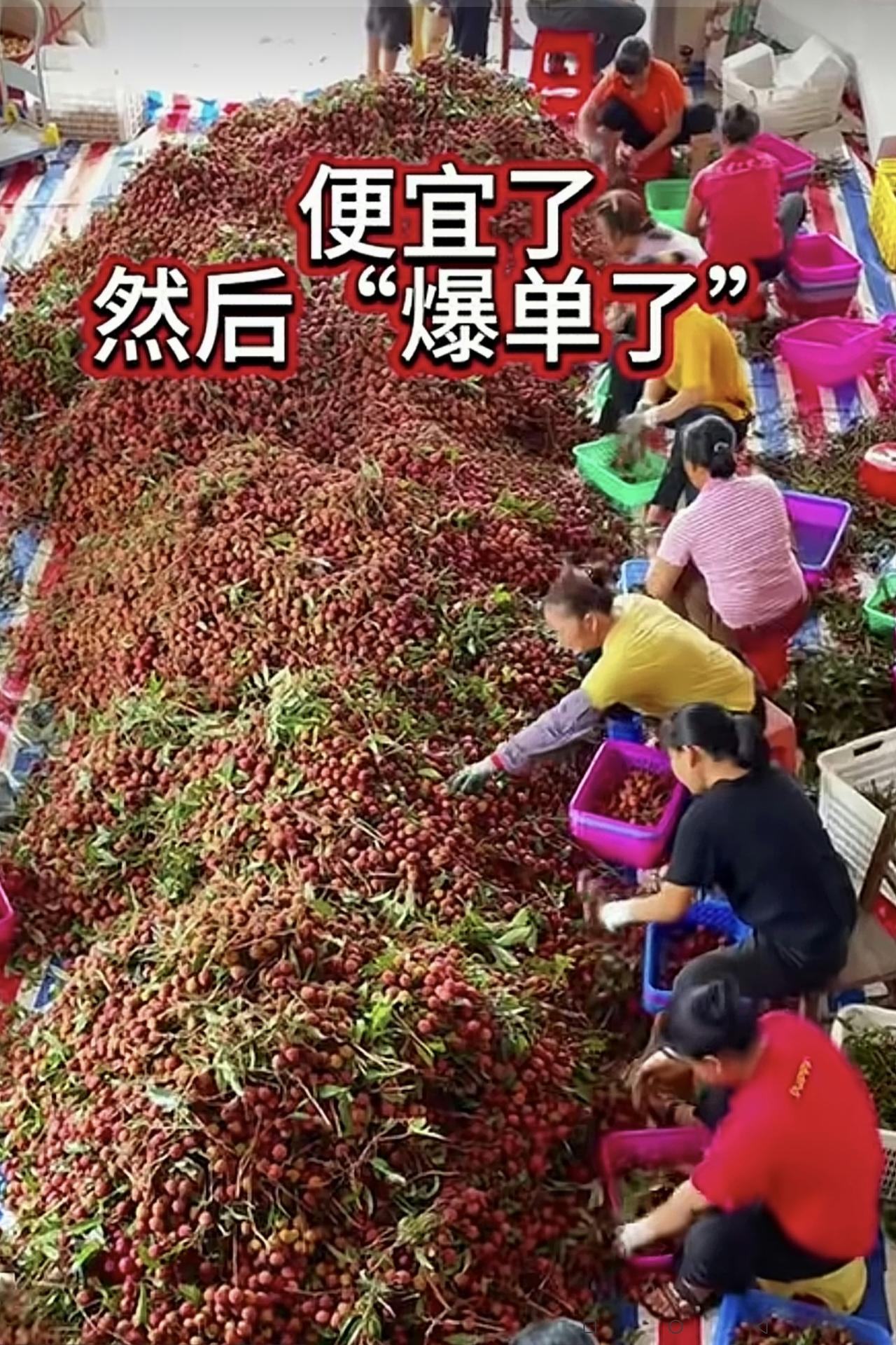 福建杨梅泡药事件最气人的是什么？不是别的，而是卖给国内消费者的就泡药，而出口到
