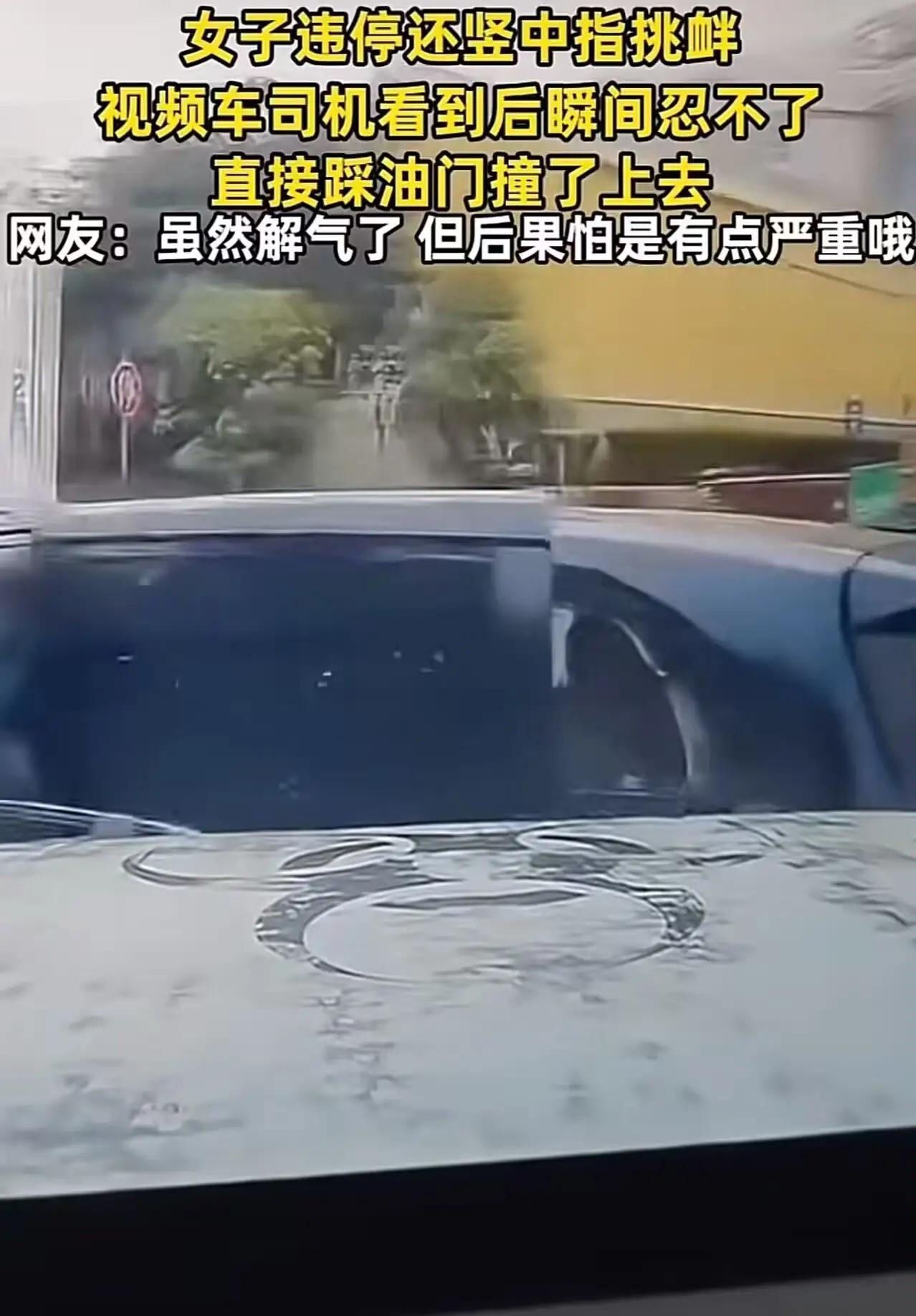 “解气了？但后果很严重！”女子停车堵门竖中指，后车司机直接撞了上去2024年