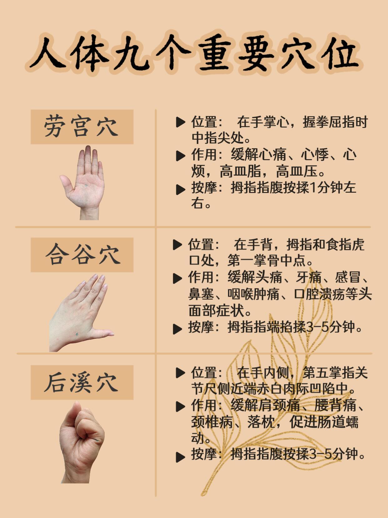 身体9个重要穴位✅每天5分钟，通经活络?🕊️每天久坐腰僵、久站腿痛、熬夜失.眠