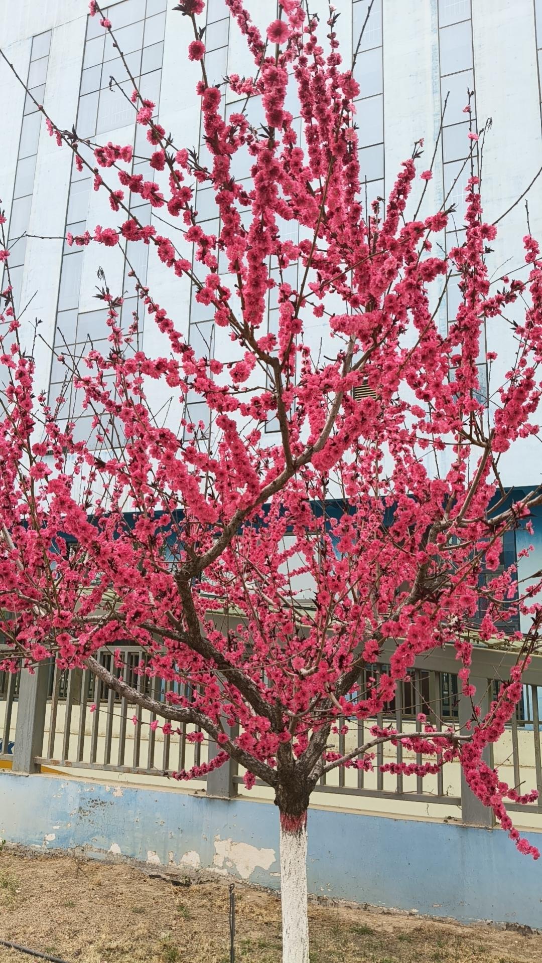 这三种出轨，永无回头路：不是一时糊涂，是把背叛当生活方式婚姻里最伤人的从不