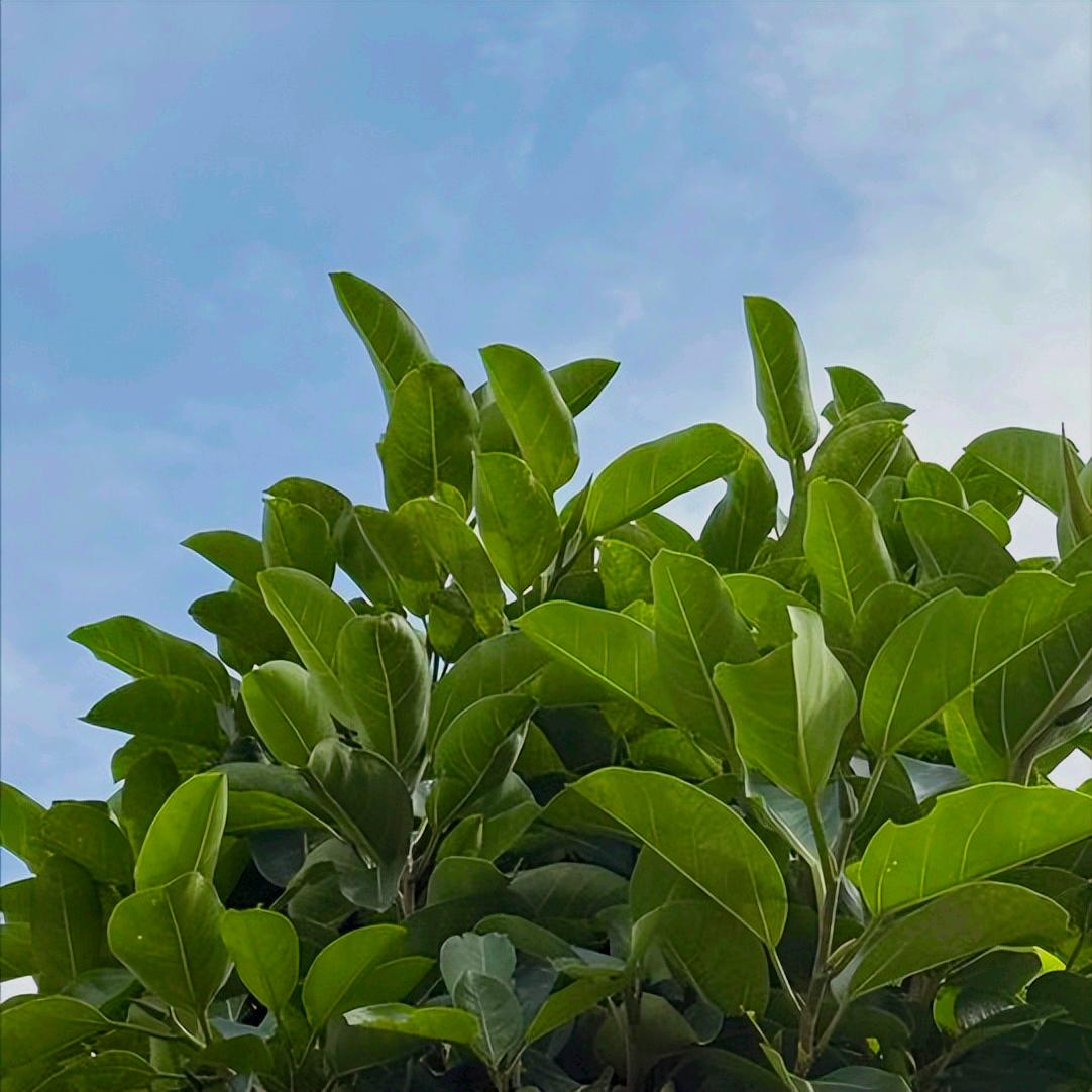 一条关于深圳市原官员的消息 12月15日16:00，一条关于该市原官员的消息