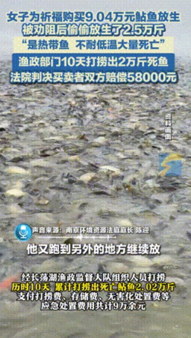 造孽来了！”江苏，女子斥资9万购买2.5万斤热带鱼，不顾劝阻全部放生祈福，结果