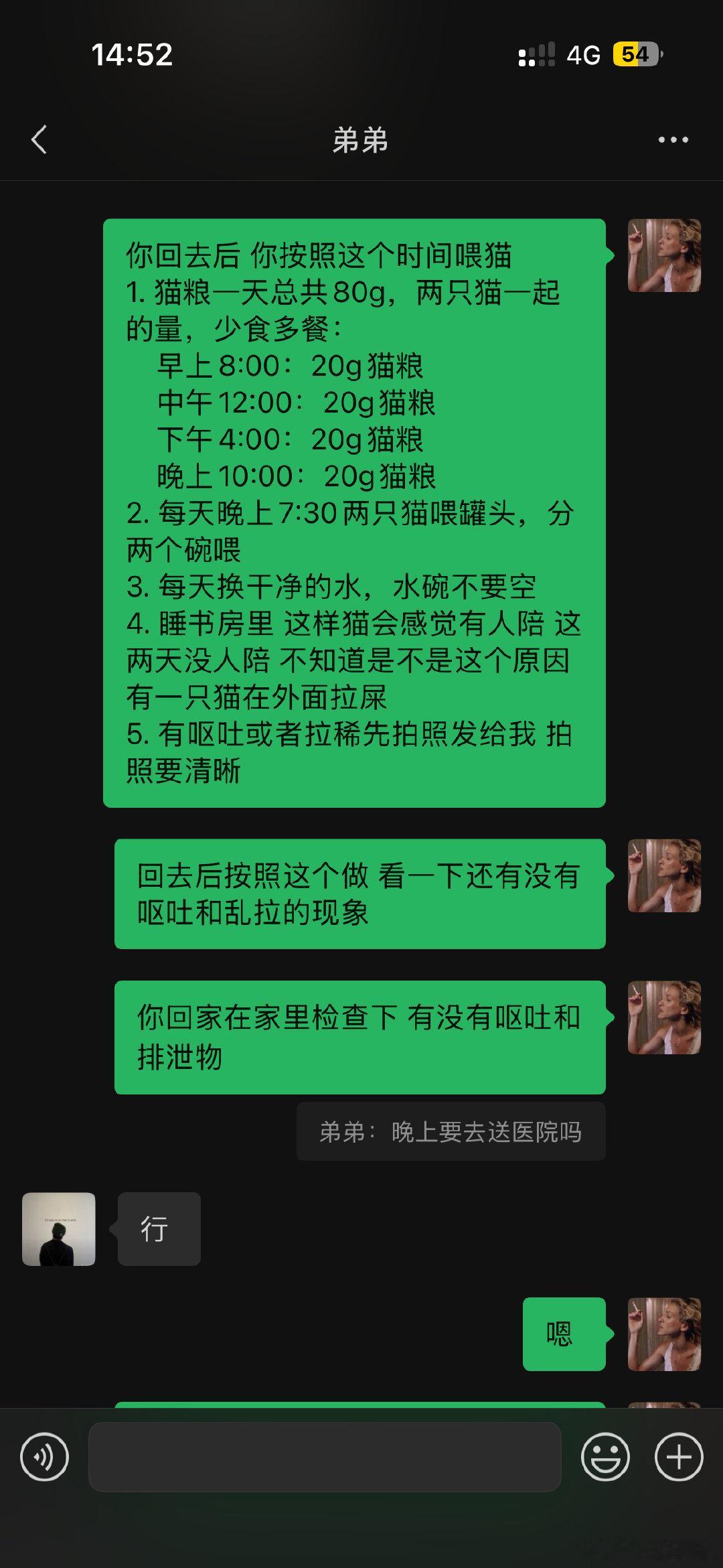 猫咪暂时抚养权又接棒给弟弟​