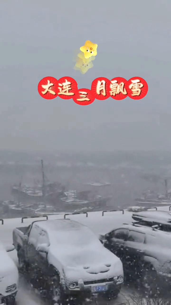 2025年3月17日1时，大连庄河海王九岛。春雪纷飞，瑞雪兆丰年，期盼海岛丰收。