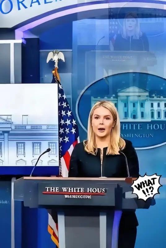 美国被中国再度拒绝了，美国官员很沮丧。“中国不想跟我们合作了，中国想要实现半导