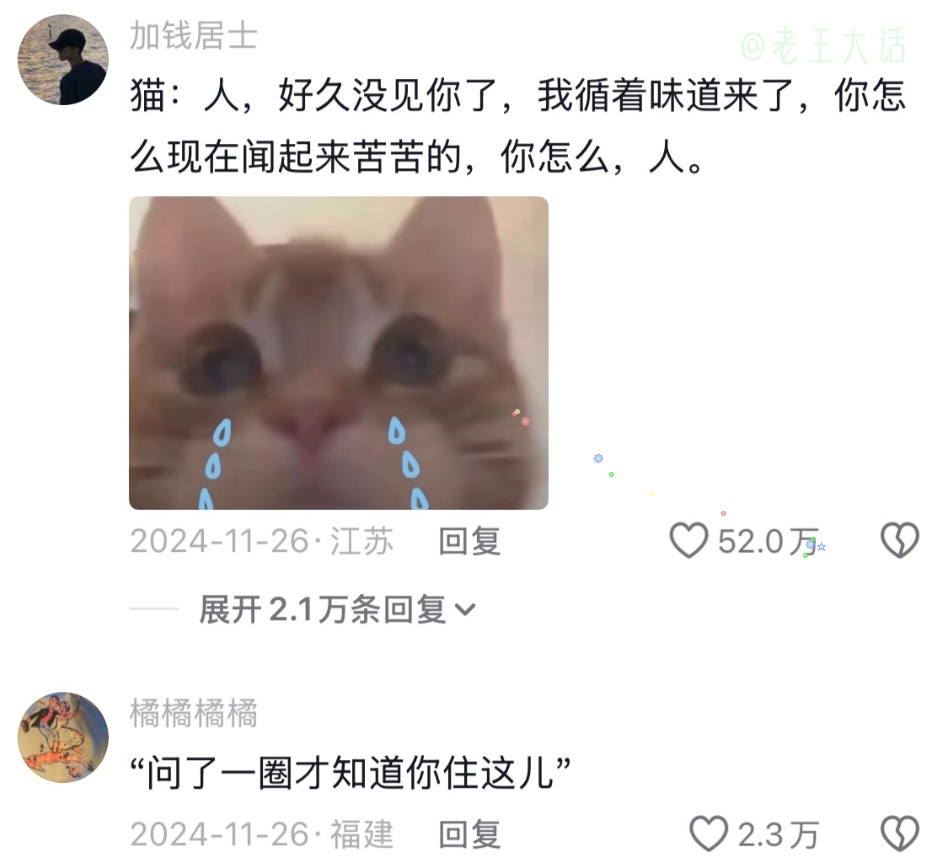 它没带水果篮子，却带着真心，从消毒水味里找到了生病的你。