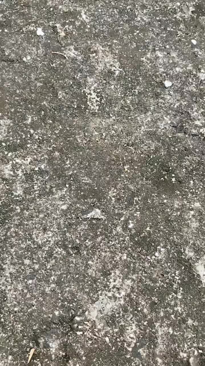 [KB在中家族]100925_SBS_天国的邮递员(128