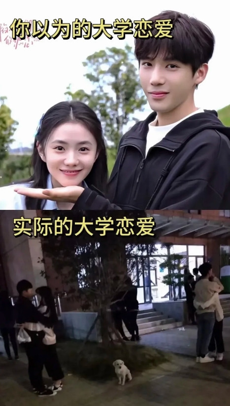 这真的很形象了，恋爱甜不甜主要看颜值
