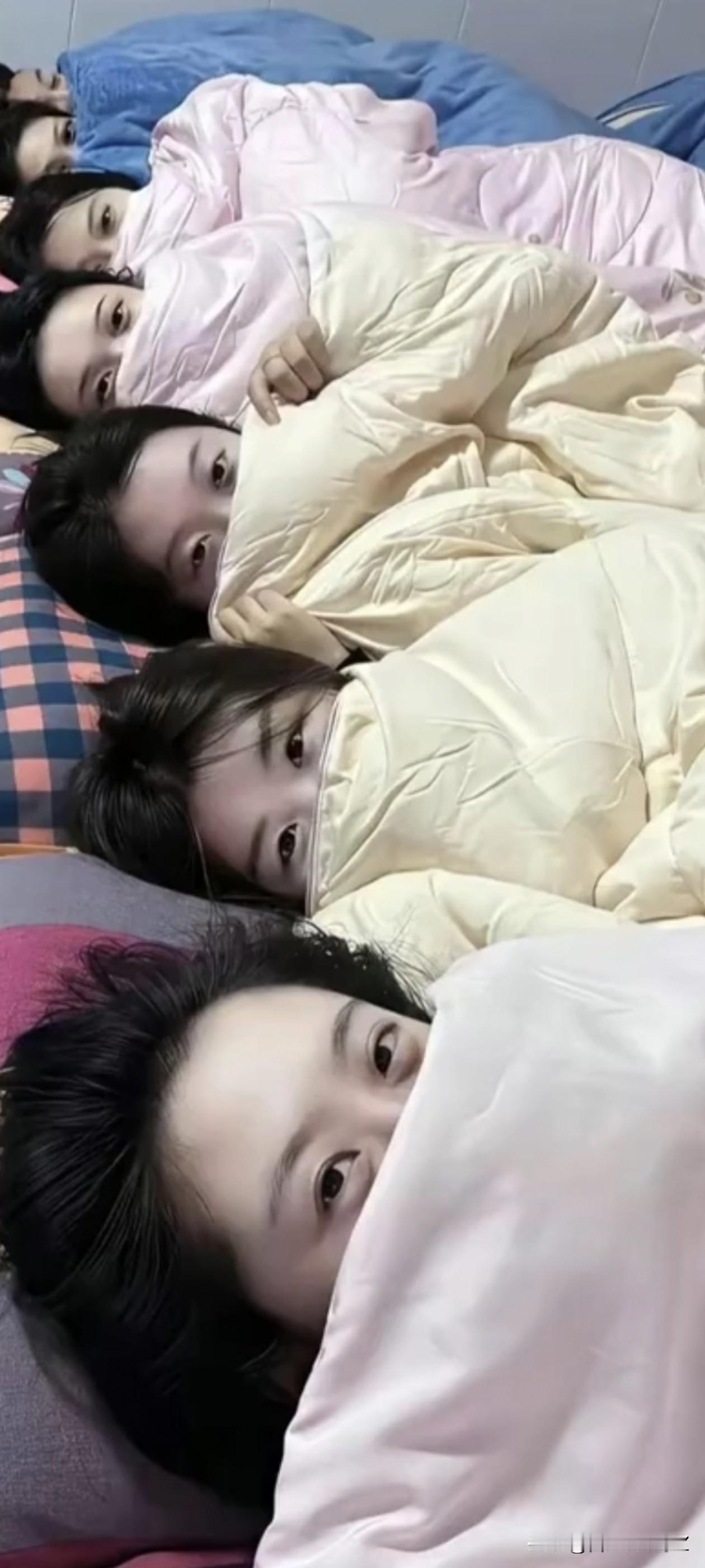 七仙女，各有千秋