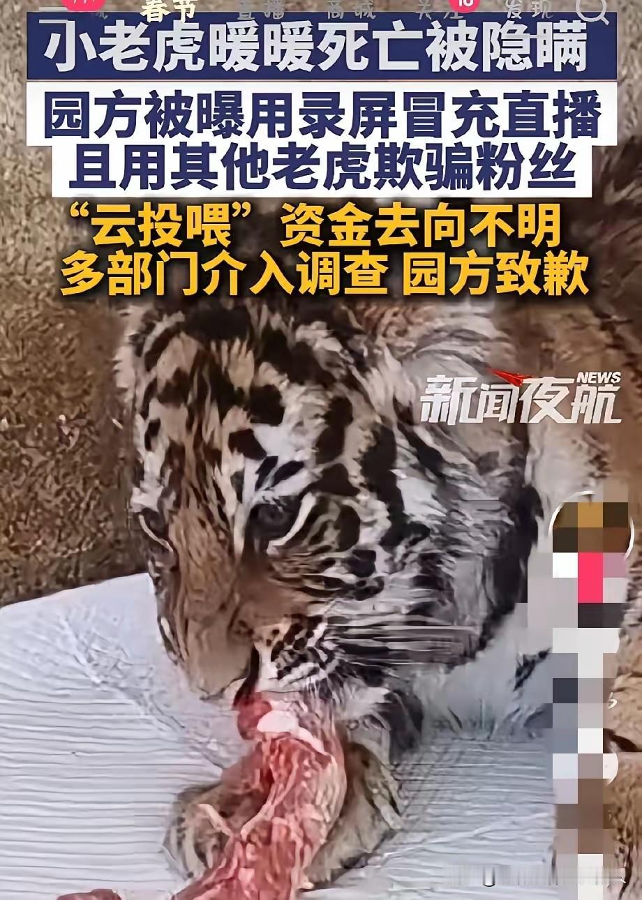 这样算不算欺诈？河南濮阳的动物园，利用网友们对小老虎的喜爱，不仅隐瞒了小老虎
