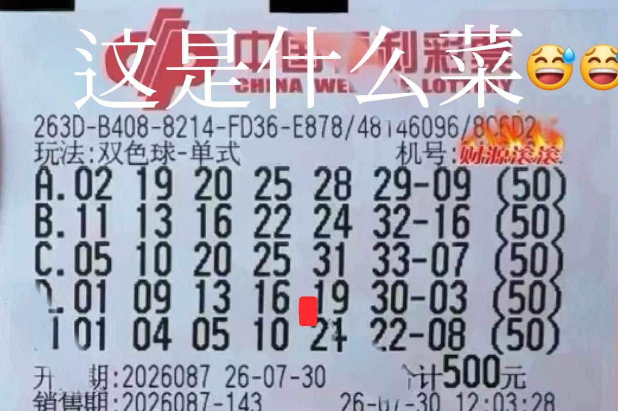 这是一道什么菜？主任会喜欢吗？