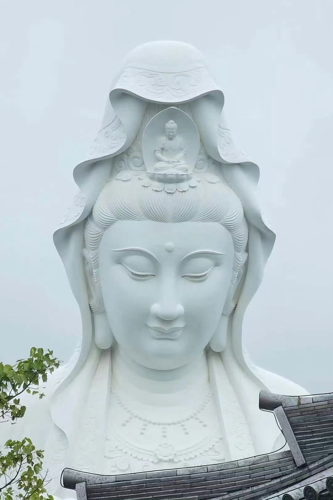 礼赞菩萨，好运降临，你期待的那件事马上就有好结果。