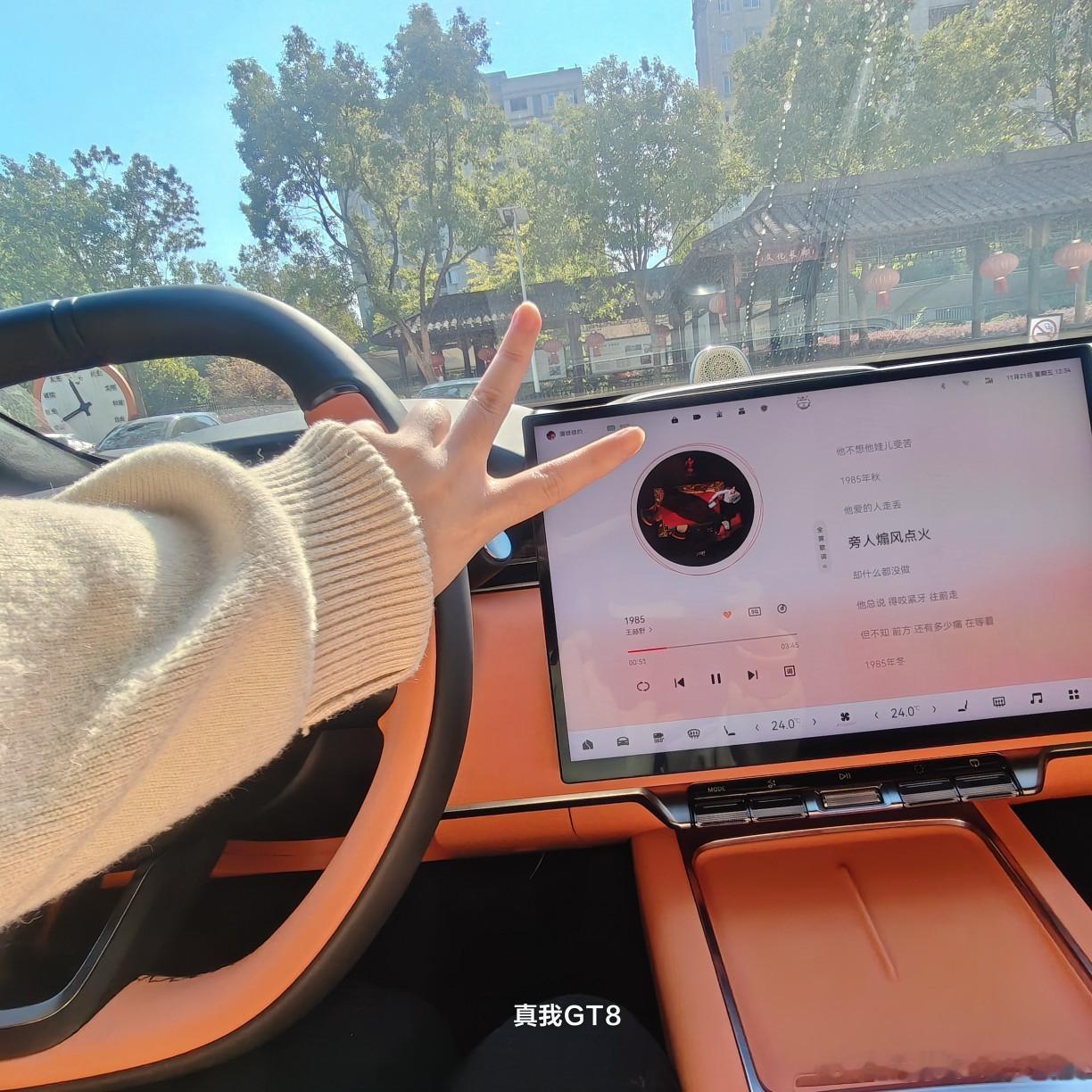 临时接到跨国视频会议通知，正在郊野公园的我立即将车停在湖边。极氪稳定的网络确保会